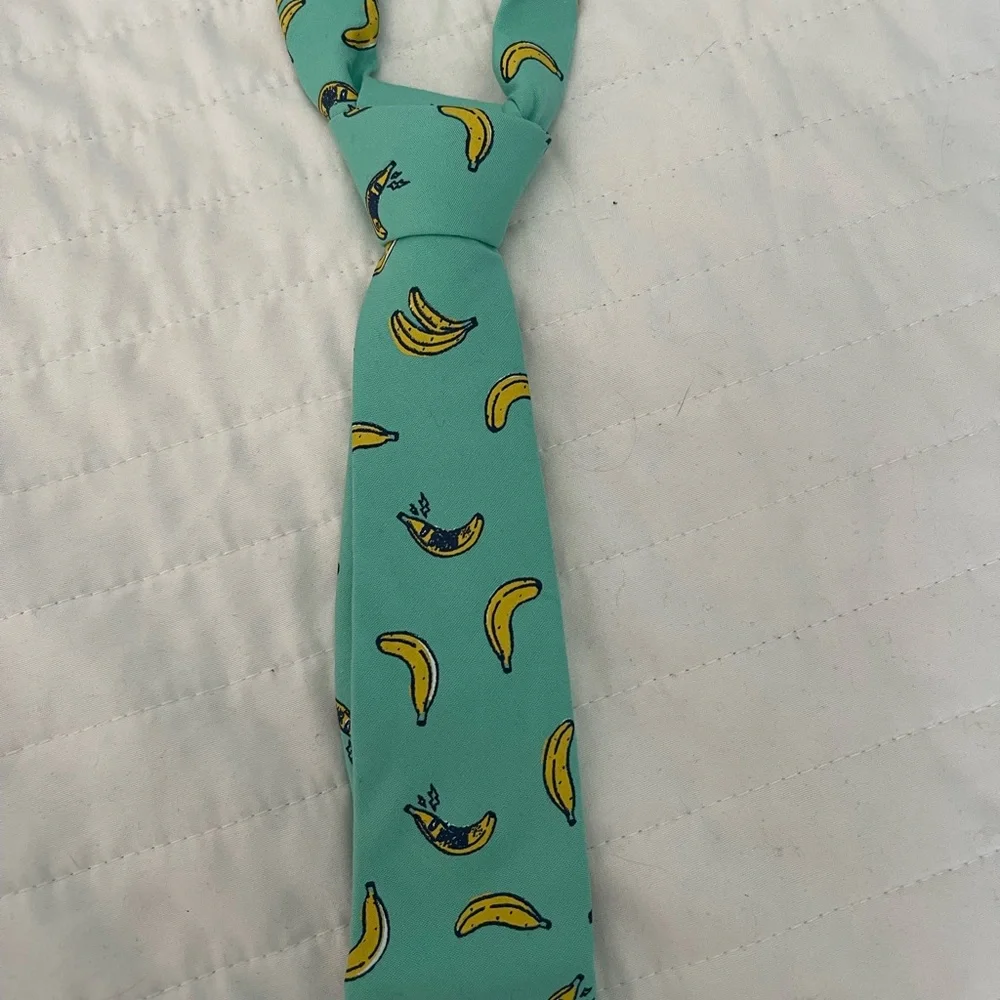 Pair of Old Navy Ties- like new